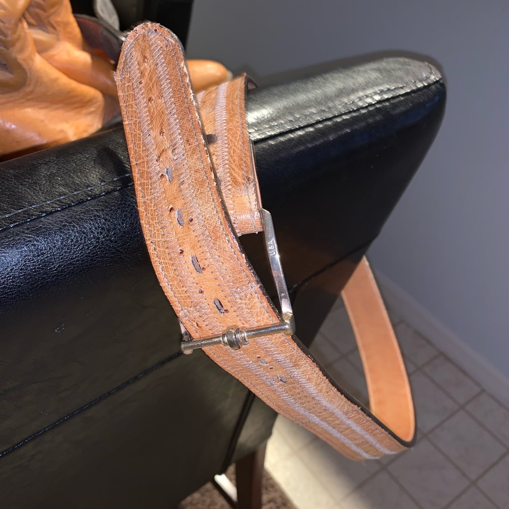 Ostrich belt